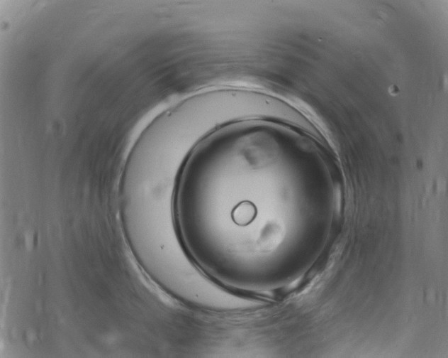 X0000072500862200607211248