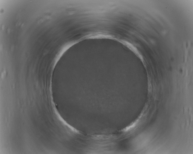 X0000072500863200607211248