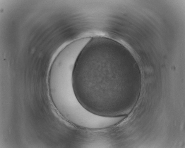 X0000072500864200607211248