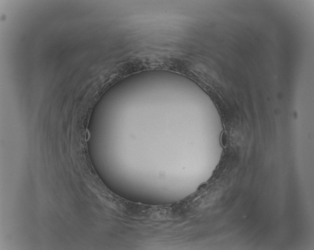 X0000072500865200607211247