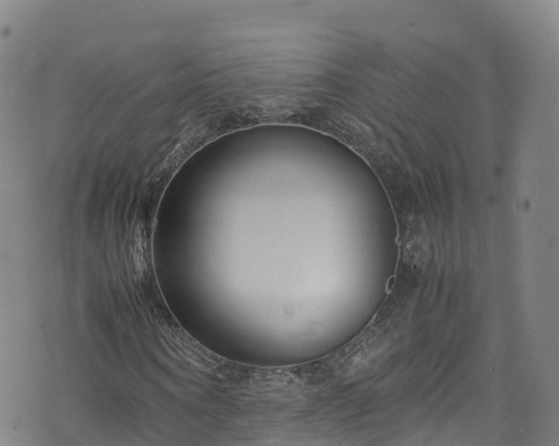 X0000072500866200607211247