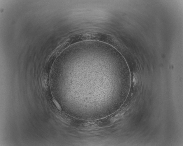 X0000072500867200607211247