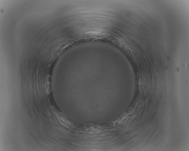 X0000072500868200607211247