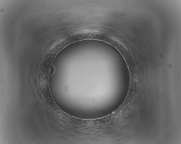 X0000072500869200607211247