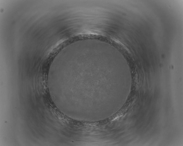 X0000072500870200607211247