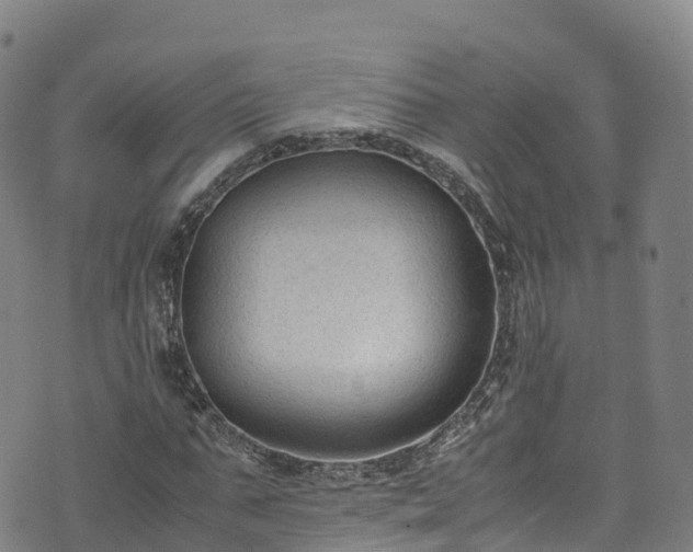 X0000072500871200607211247