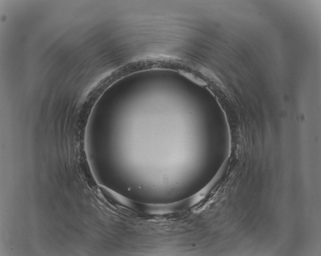 X0000072500872200607211247