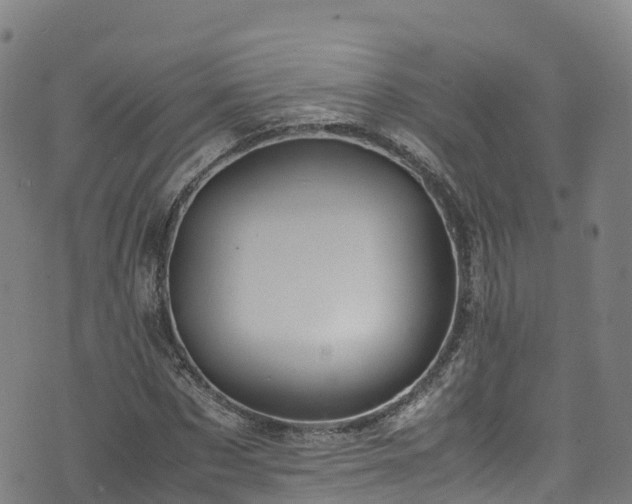 X0000072500873200607211247