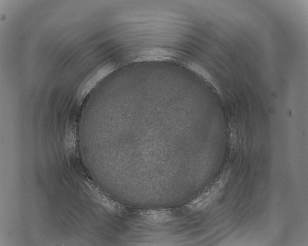 X0000072500874200607211247