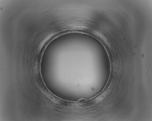 X0000072500875200607211247