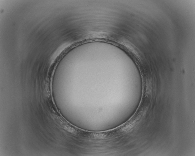 X0000072500878200607211247