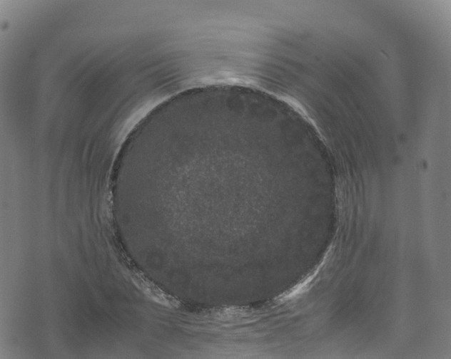 X0000072500879200607211247