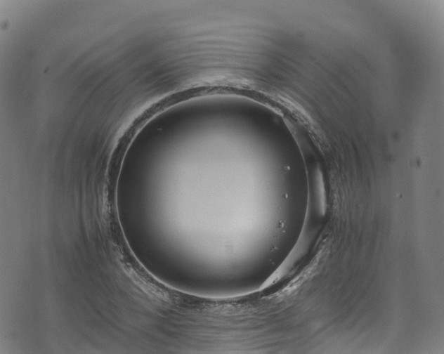 X0000072500880200607211247