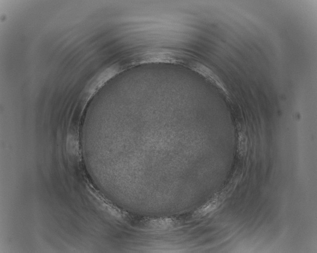 X0000072500882200607211247