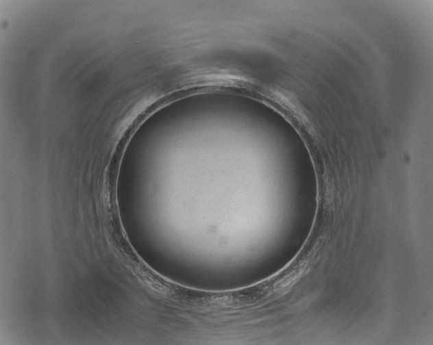 X0000072500883200607211247