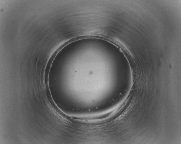 X0000072500884200607211246