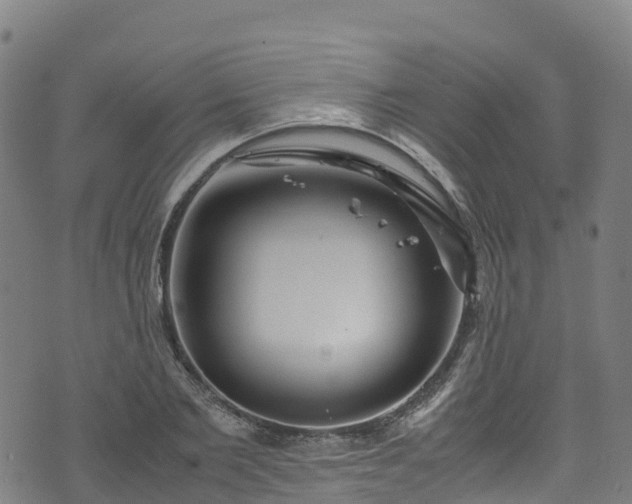 X0000072500885200607211246