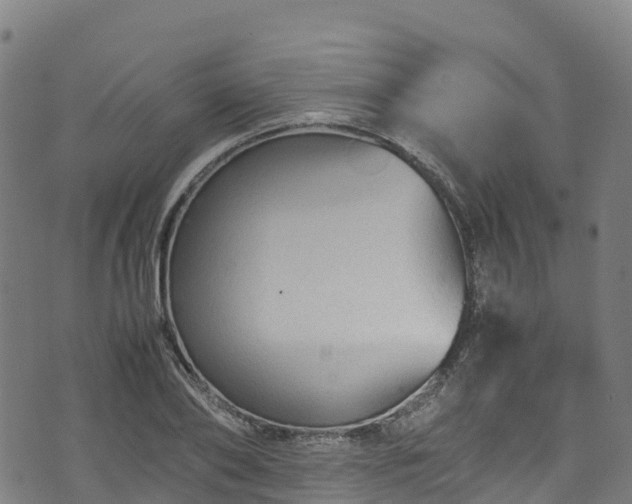 X0000072500886200607211246