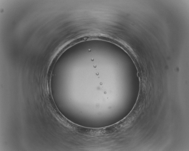 X0000072500887200607211246