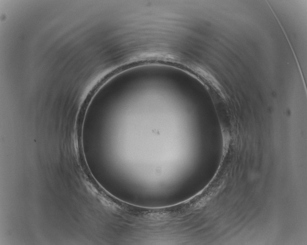 X0000072500888200607211246