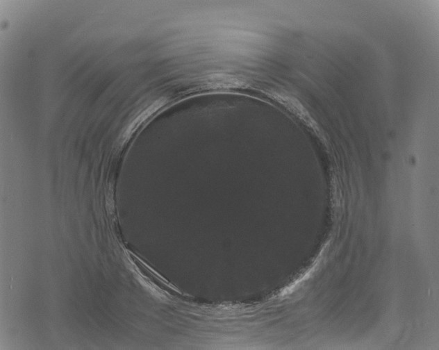 X0000072500889200607211246