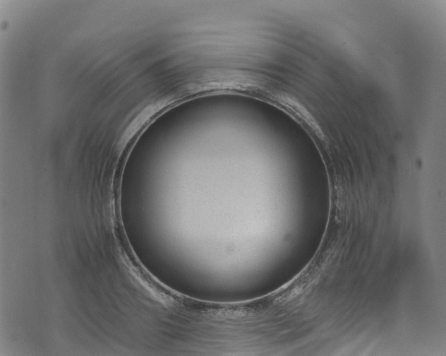 X0000072500890200607211246