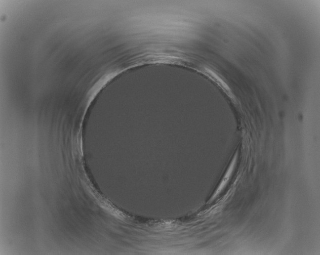 X0000072500891200607211246