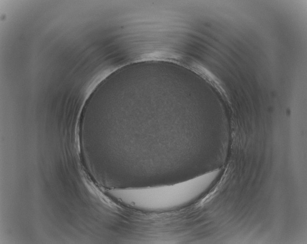 X0000072500892200607211246