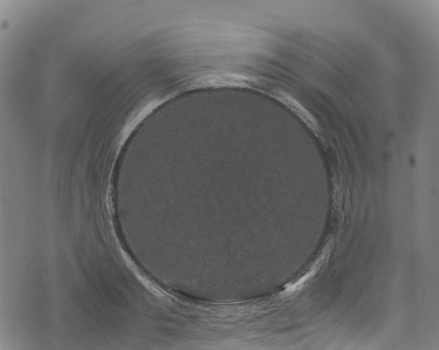 X0000072500893200607211246