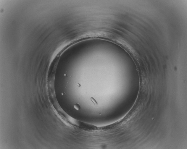 X0000072500894200607211246