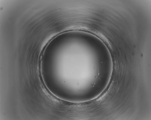 X0000072500896200607211246