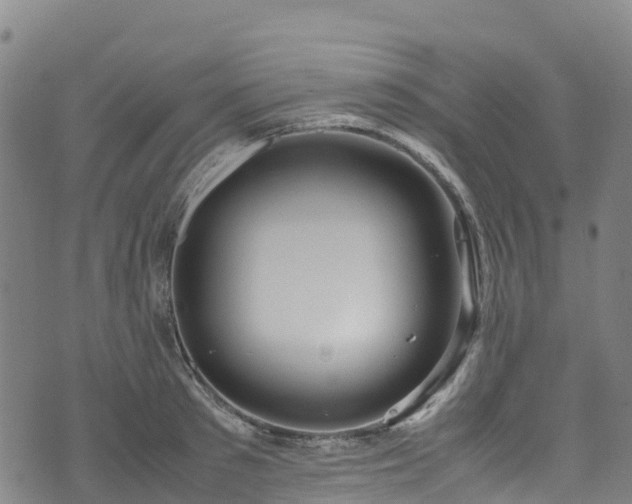 X0000072500897200607211246