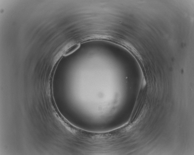 X0000072500898200607211246