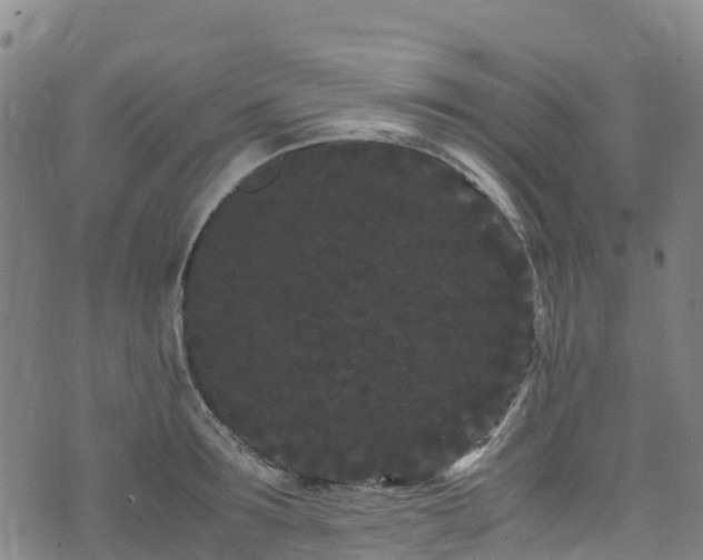 X0000072500899200607211246