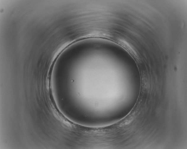 X0000072500900200607211246