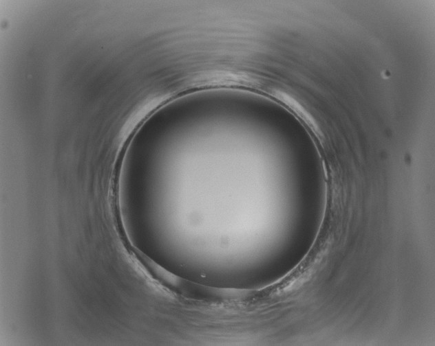 X0000072500901200607211246