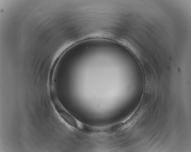 X0000072500902200607211246