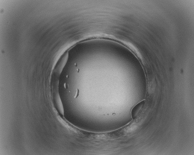 X0000072500903200607211246