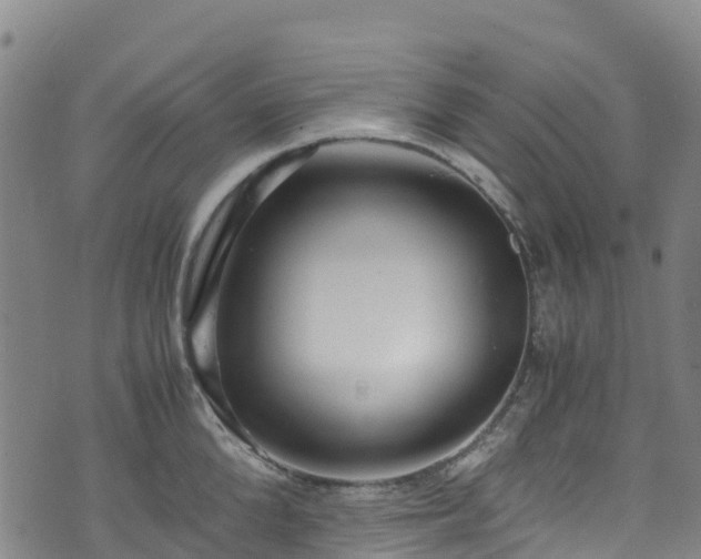 X0000072500904200607211246