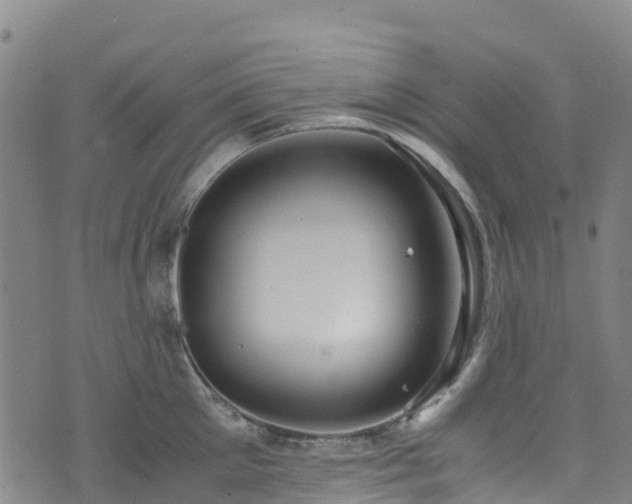 X0000072500905200607211246