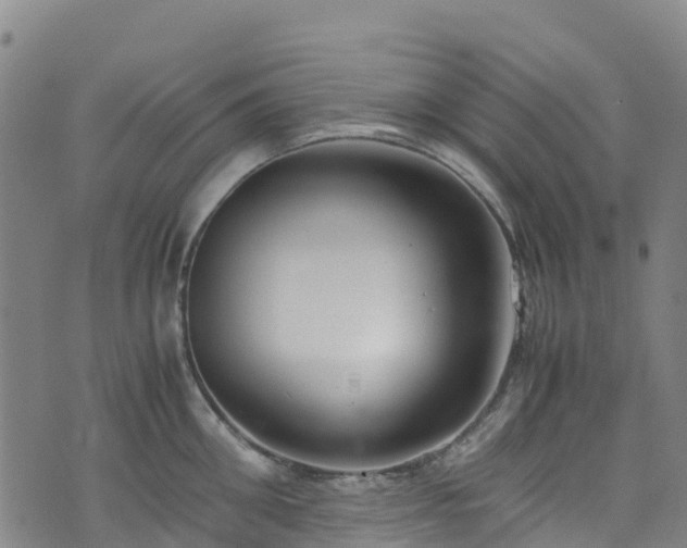 X0000072500906200607211246