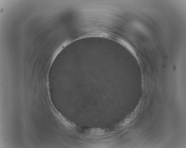 X0000072500907200607211246