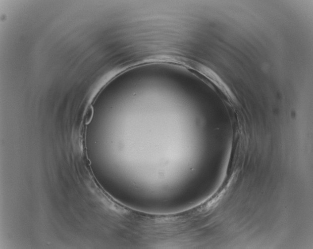 X0000072500908200607211246