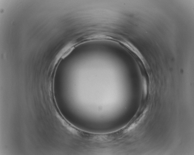 X0000072500909200607211246