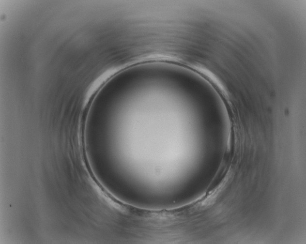 X0000072500910200607211246