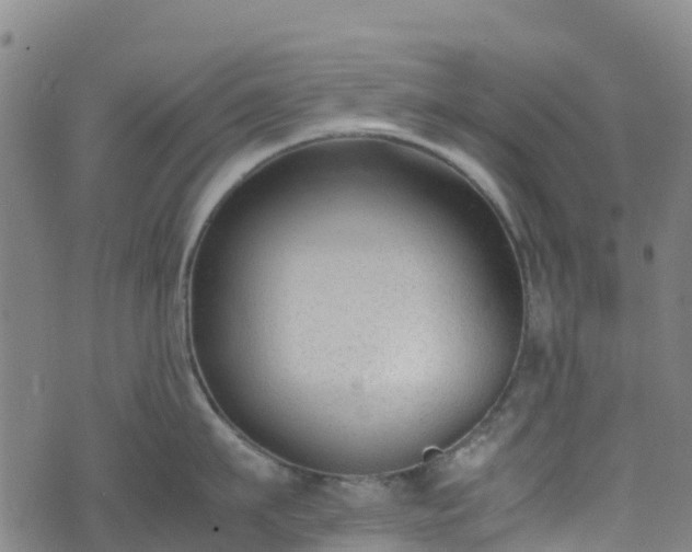 X0000072500911200607211246