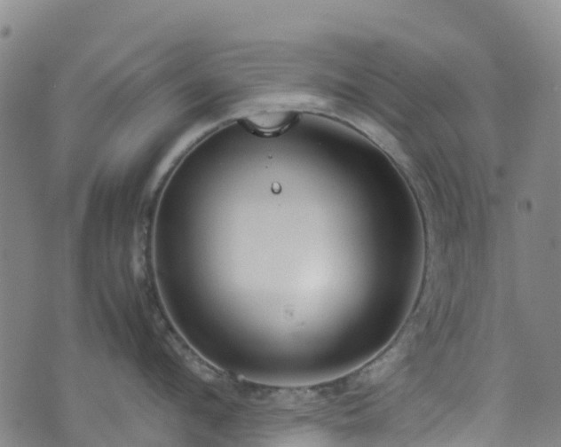 X0000072500912200607211246