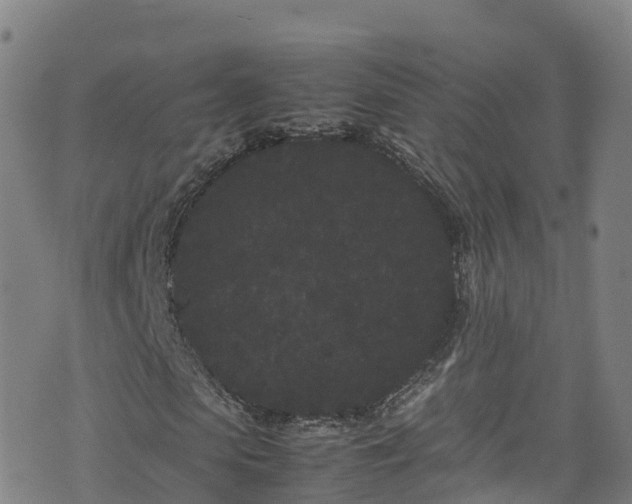 X0000072500913200607211245