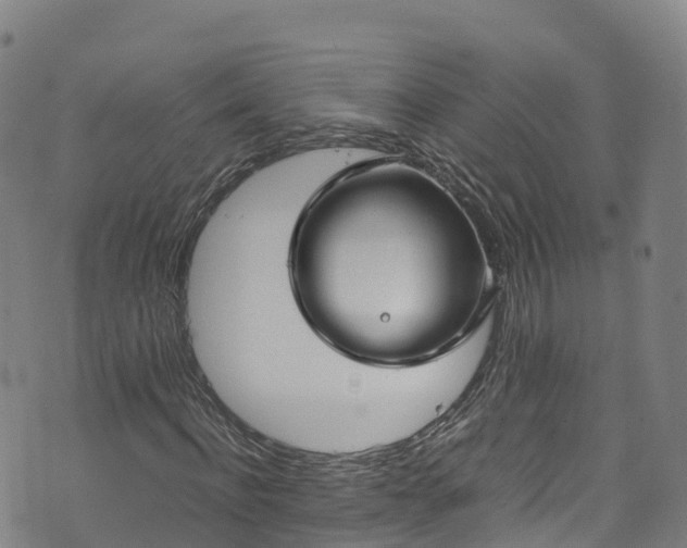 X0000072500916200607211245