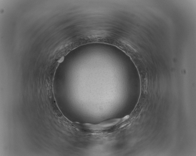 X0000072500917200607211245